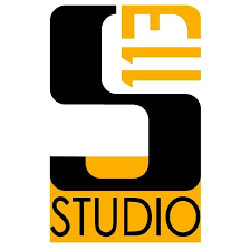 Logo couleur Studio 113