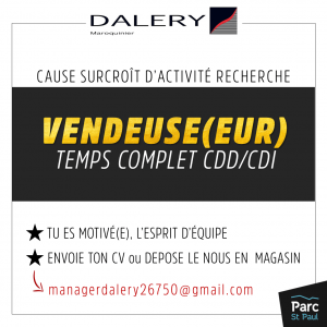 dalery recherche vendeur polyvalent